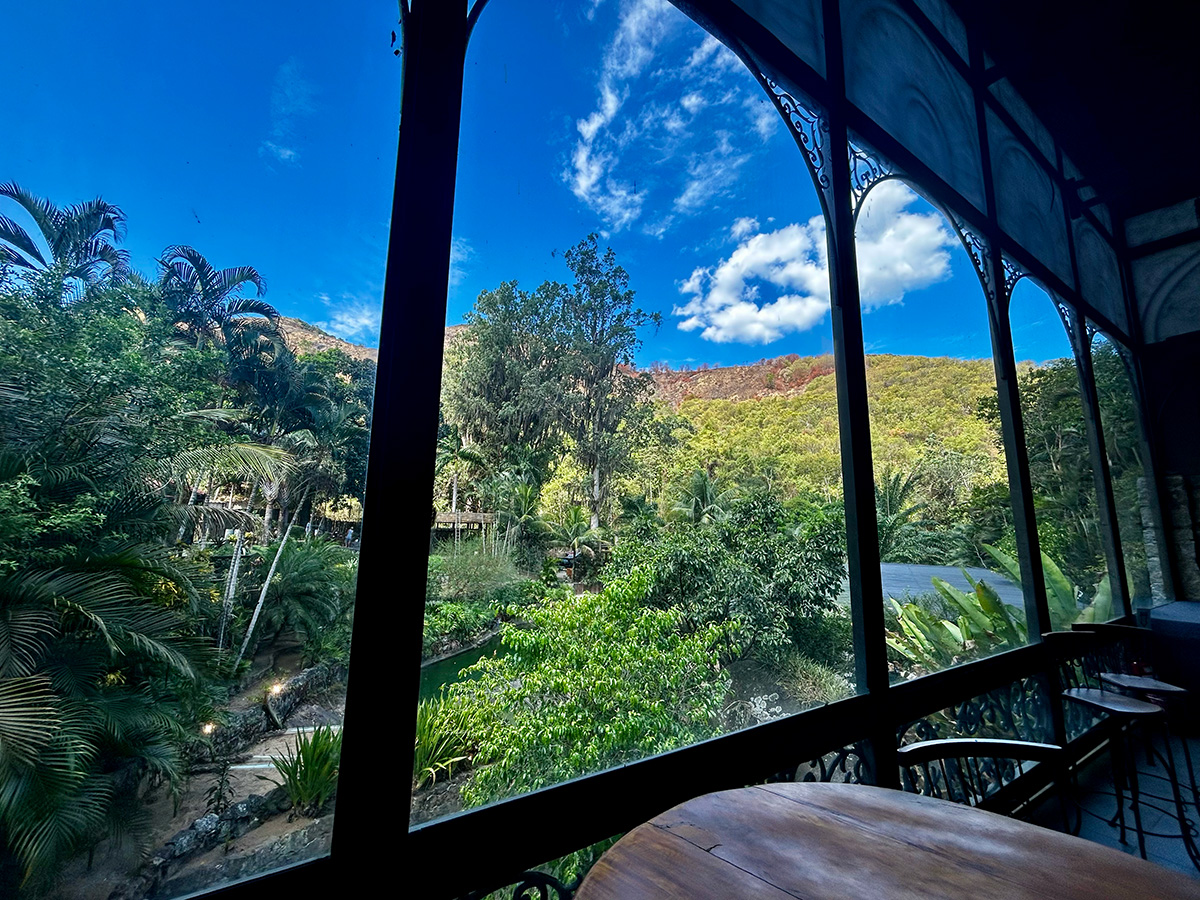 A patio view of somewhere exotic with palm trees